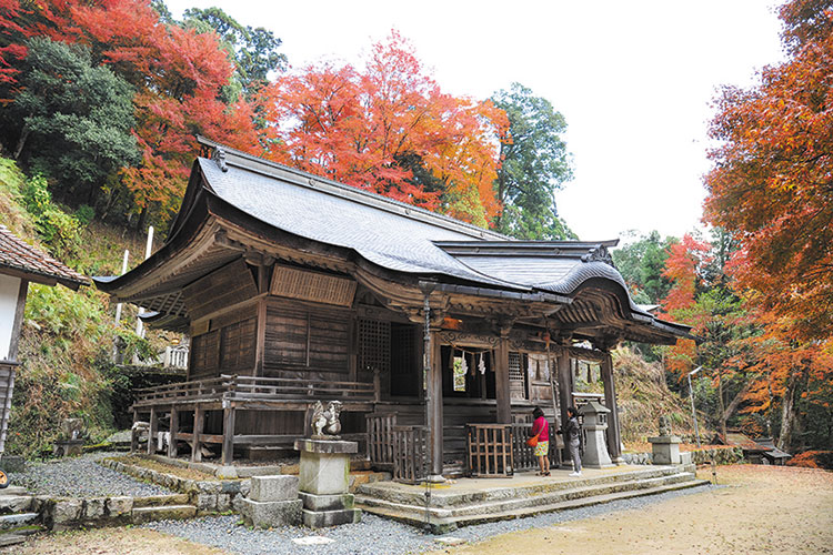 「諏訪泉」の由来にもなった諏訪神社